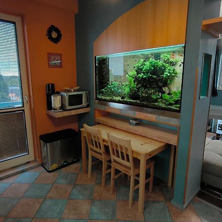 Suk Apartman 24 Suchdol nad Luznici Eksteriør billede